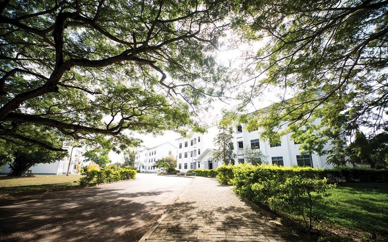 University of Cape Coast - school image