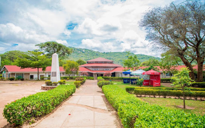 University of Iringa - school image