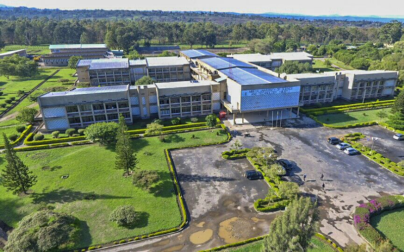 Mbeya University of Science and Technology - school image