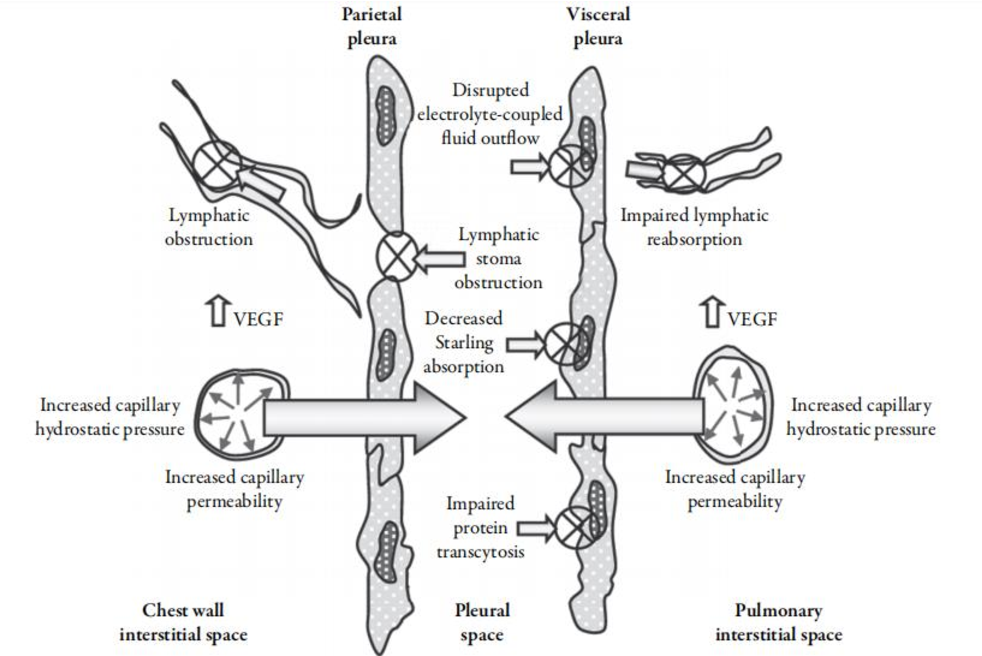 Figure 1 from Bioscientia Medicina: Journal of Biomedicine ...