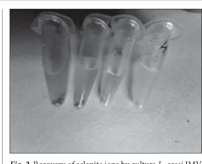 Figure 2 from Bionanotechnology of Selenite Ions Recovery into ...