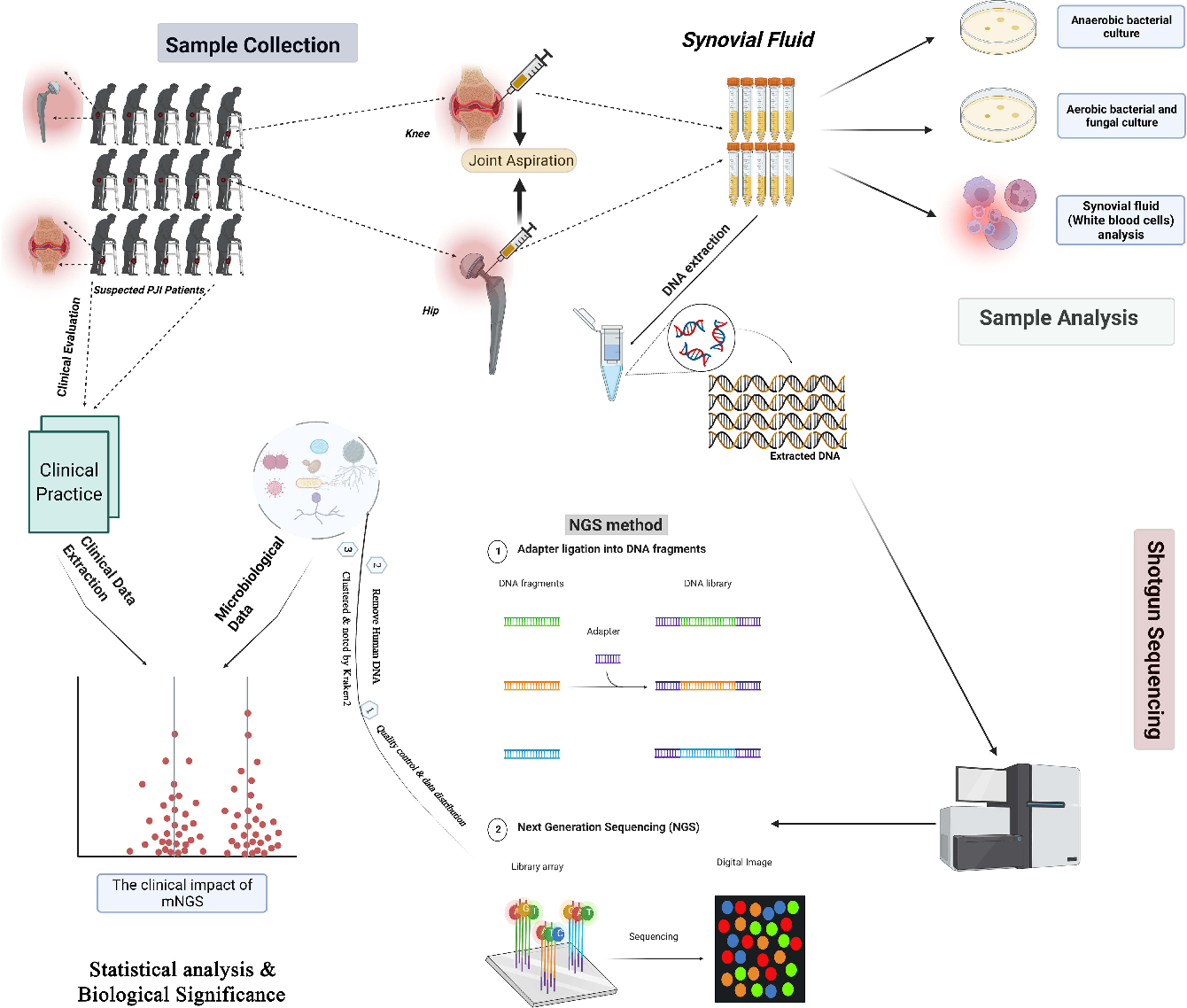 Figure 1 from The Clinical Impact of Metagenomic Next-Generation ...