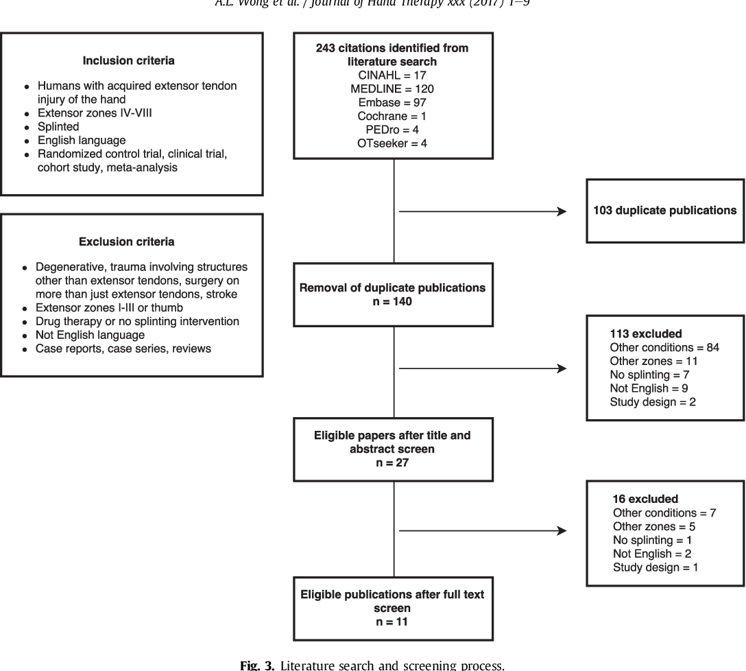 Figure 3 from The optimal orthosis and motion protocol for extensor ...