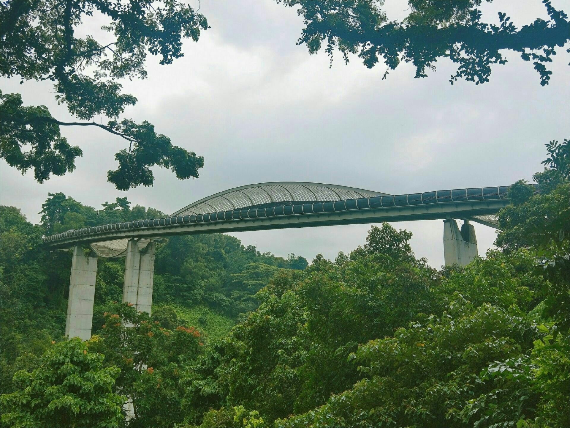 Southern Ridges Trail