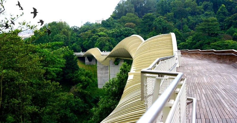 Historical Background Of Henderson Waves