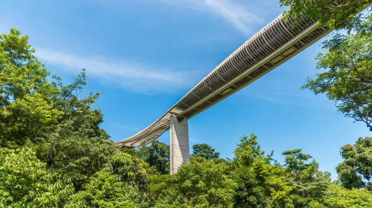 Henderson Waves: Discovering The Majestic Bridge Of Singapore