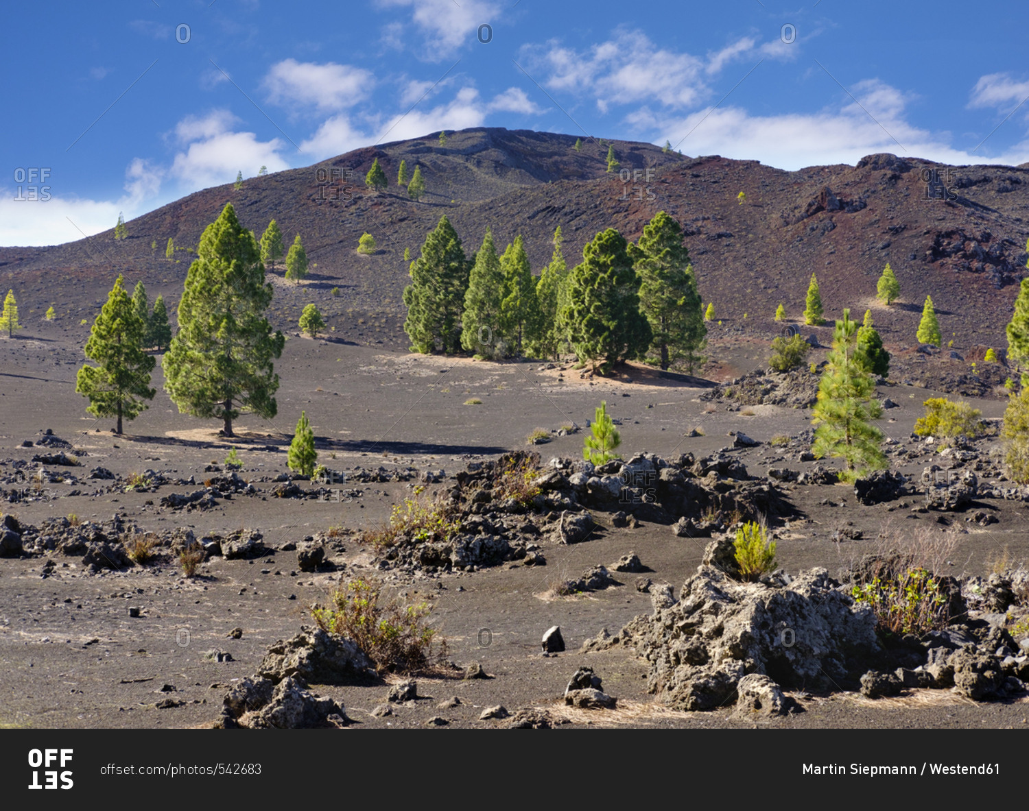 Spain- Canary islands- Tenerife- Montana Negra oder Volcan Garachico ...