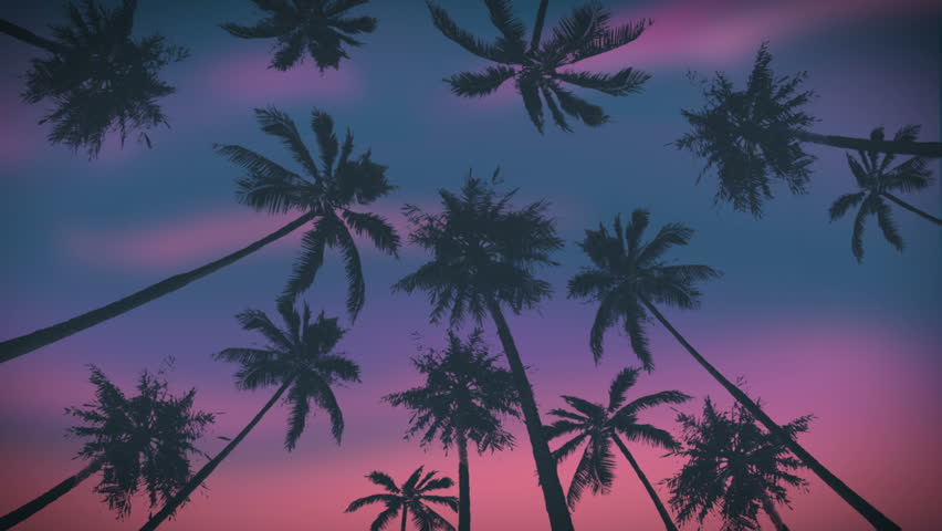 Pink And Blue Palm Trees