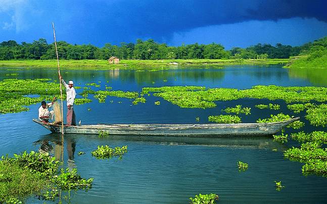 majuli island-647 090316015442