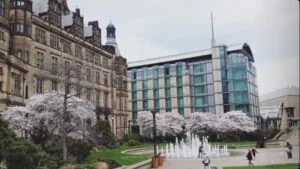 Sheffield is the most eco-friendly city