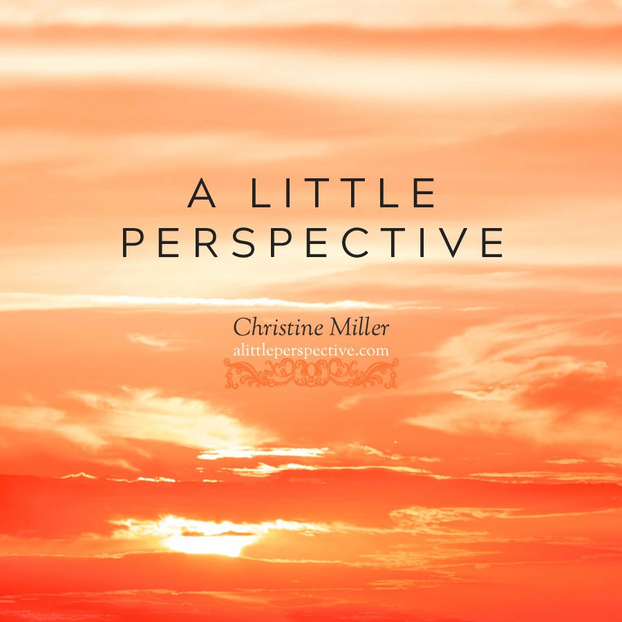 a little perspective by Christine Miller | alittleperspective.com