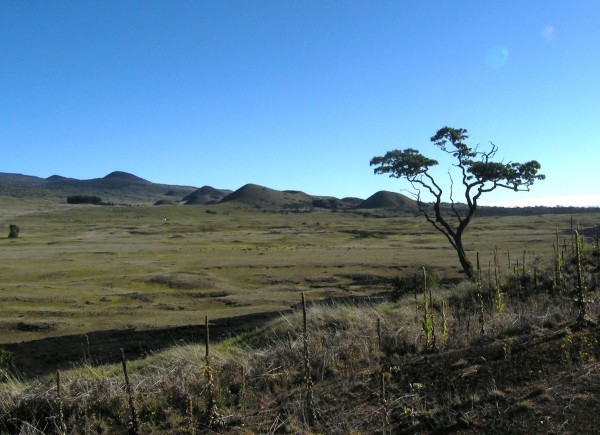 Mauna Kea Cinder Cones