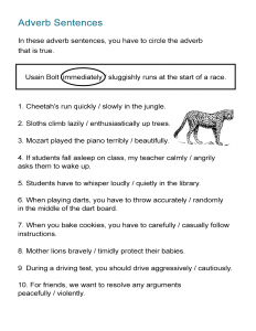 Adverb Sentences Worksheet