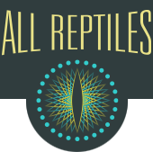 All Reptiles