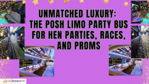 Unmatched Luxury: The Posh Limo Party Bus