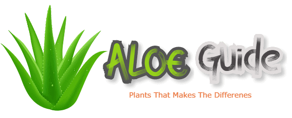 Aloe Guide