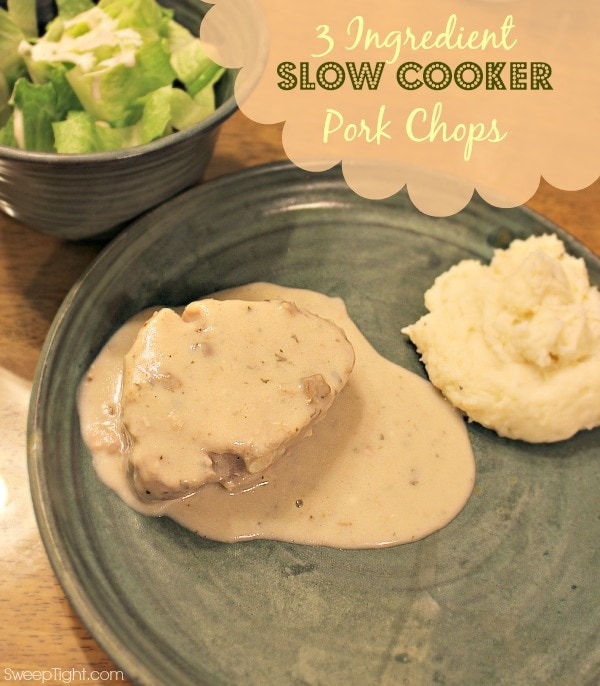 pork chops in slow cooker