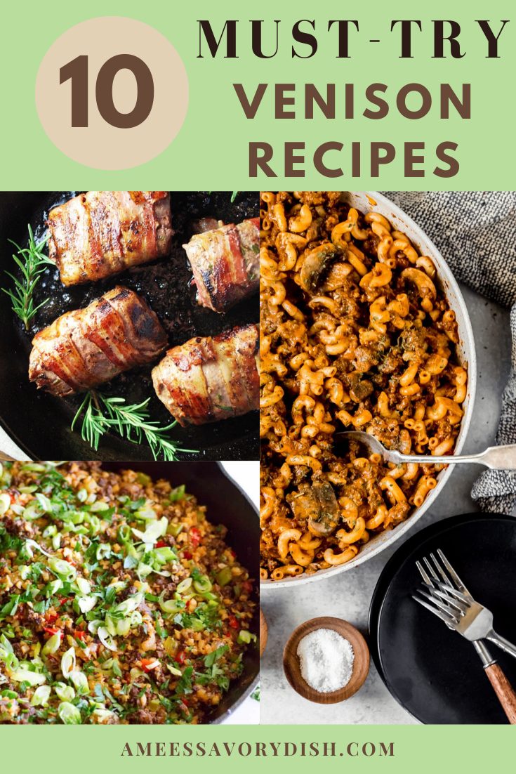 Not sure what to do with all the wild game in the freezer?  I'm sharing ten mouthwatering Venison recipes to inspire your weekly meal planning.  #venison #venisonrecipes #wildgame #deerrecipes via @Ameessavorydish