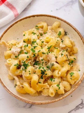 Creamy Chicken Pasta Casserole dished up in bowl topped the minced parsley.