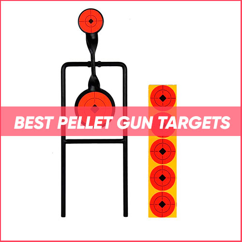 Best Pellet Gun Targets 2024