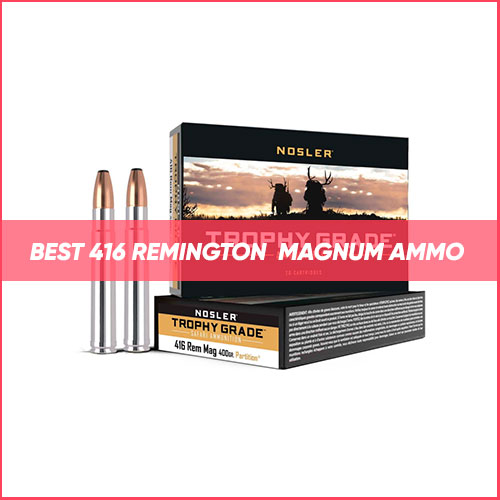 Best 416 Remington Magnum Ammo