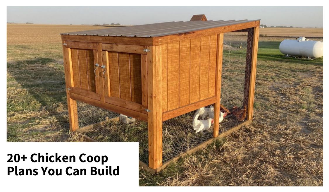 free chicken coop plans