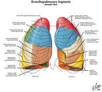 Duke Pathology - Genetic Disorders