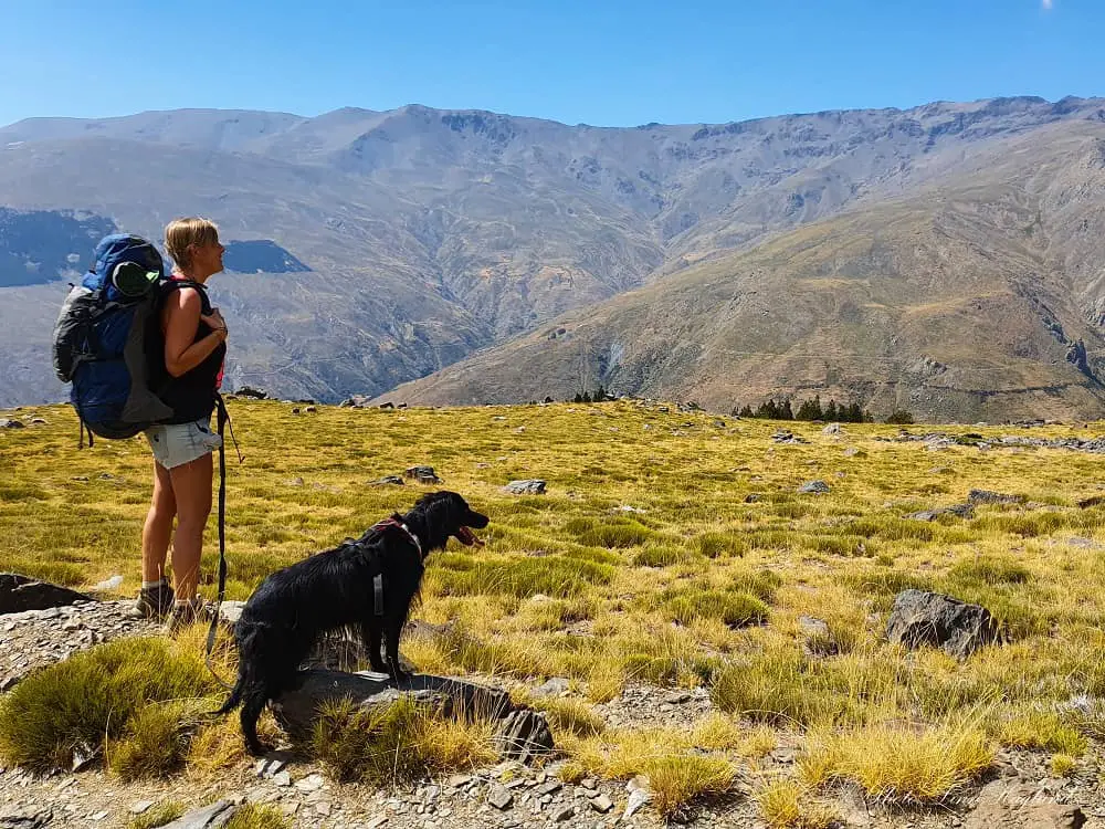 Hiking with a dog