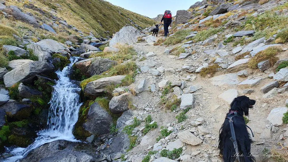 Hiking with dog