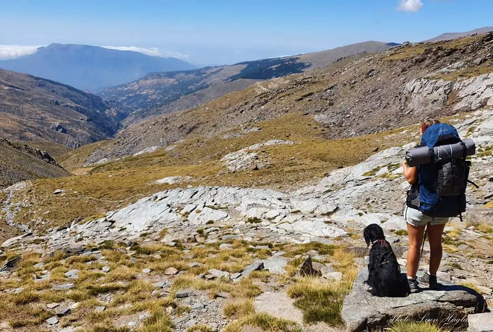 How to hike with a dog