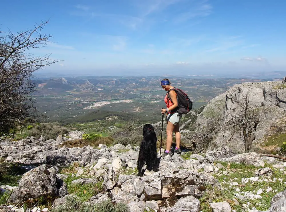 dog hiking