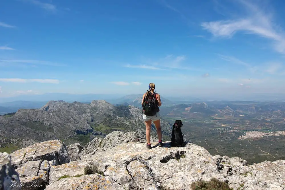 hiking for dogs