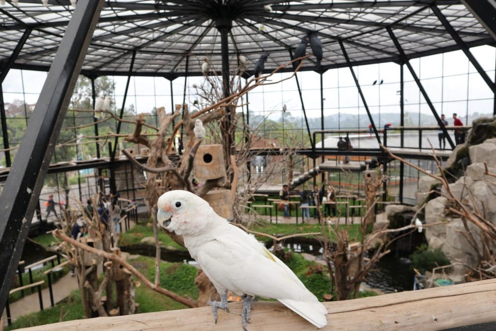 bird aviary (destinasibandung)