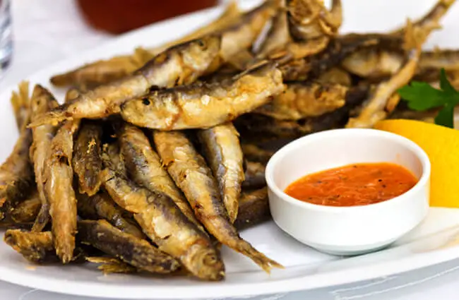 Fried fresh Sprat fish Photo by: (c) maggee www.fotosearch.com