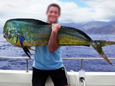 A male Dorado (Mahi Mahi)Photo by: Philhttps://creativecommons.org/licenses/by-sa/2.0/