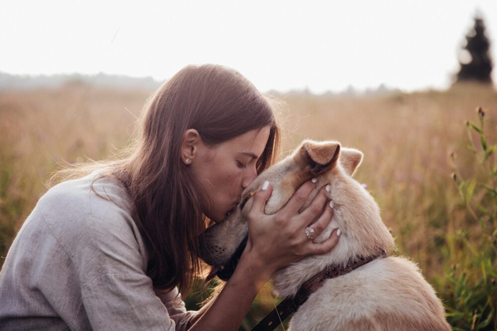 dogs form stronger bonds with humans than pigs?