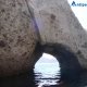 Sea caves of Antiparos