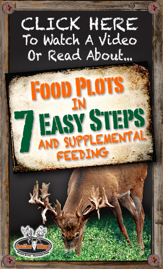 Food Plot in 7 Easy Steps