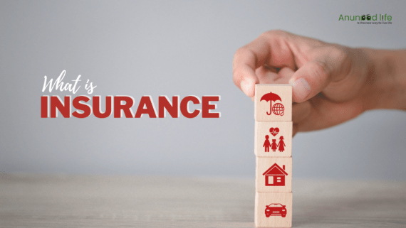 what is Insurance