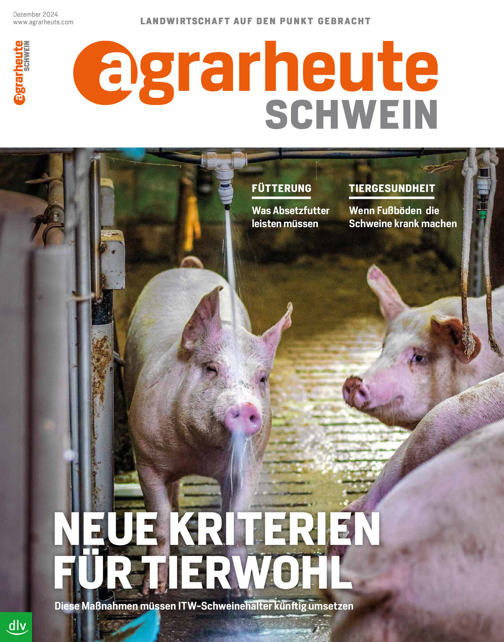 agrarheute SCHWEIN Hefttitelbild