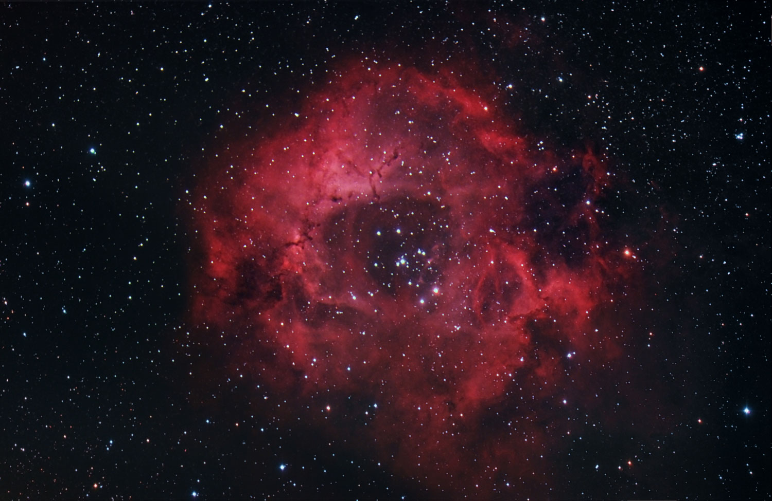 The Rosette nebula, also known as NGC 2237 or Caldwell 49, taken from Seneca, Ill., in March 2014.