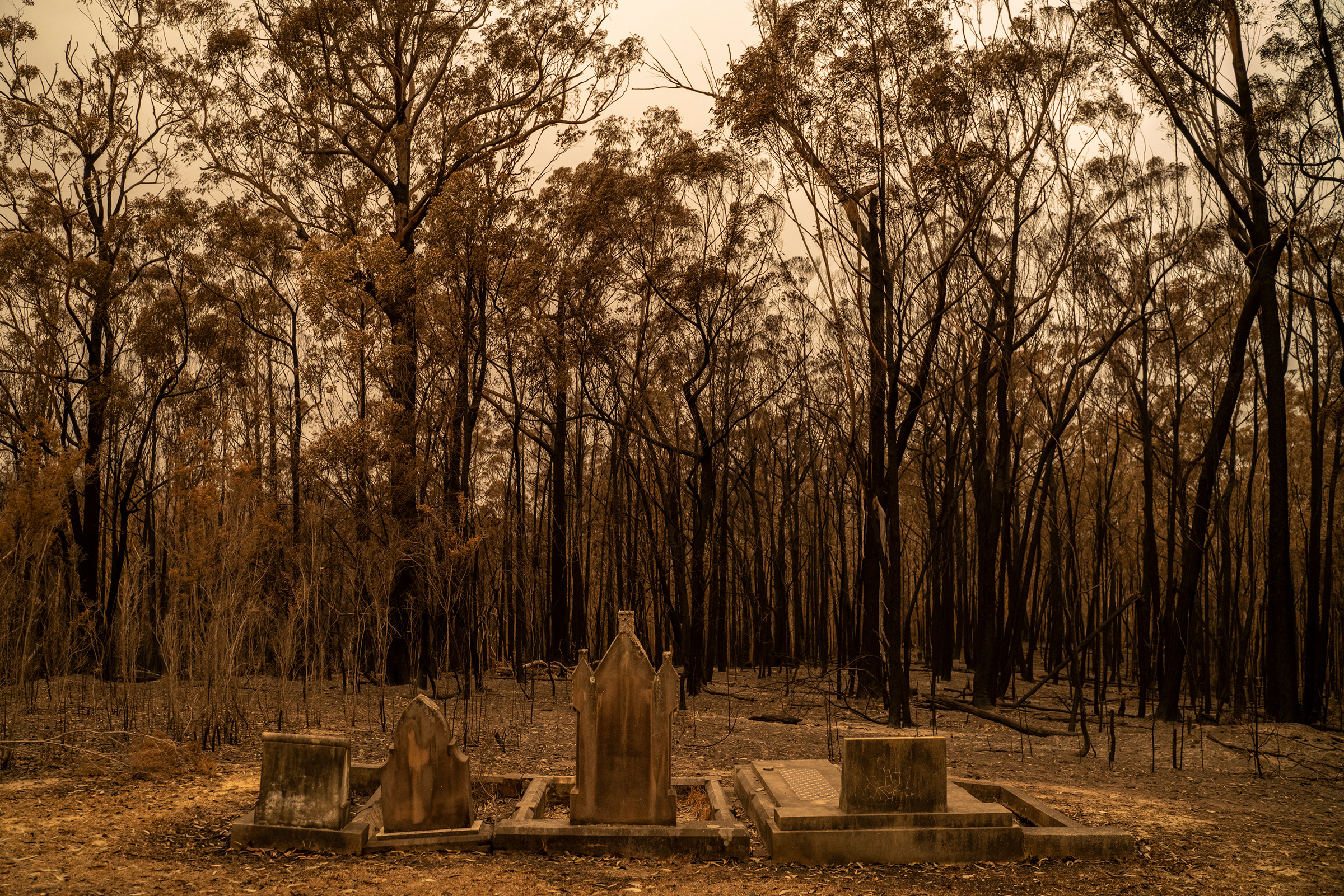 A cemetery recently hit by bushfires near Mogo, New South Wales, on Jan. 5. (Adam Ferguson for TIME)