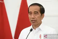 ‘No politics’ in meeting with Yogyakarta Sultan, claims Jokowi