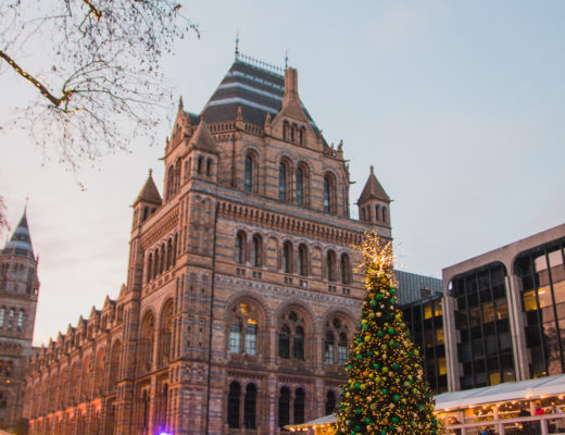 SKATE at Natural History Museum, London