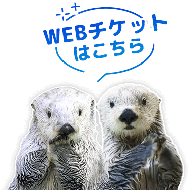 WEBチケットはこちら