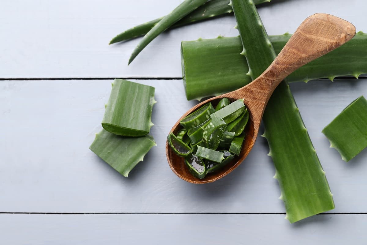 inner fillet aloe vera vs whole leaf