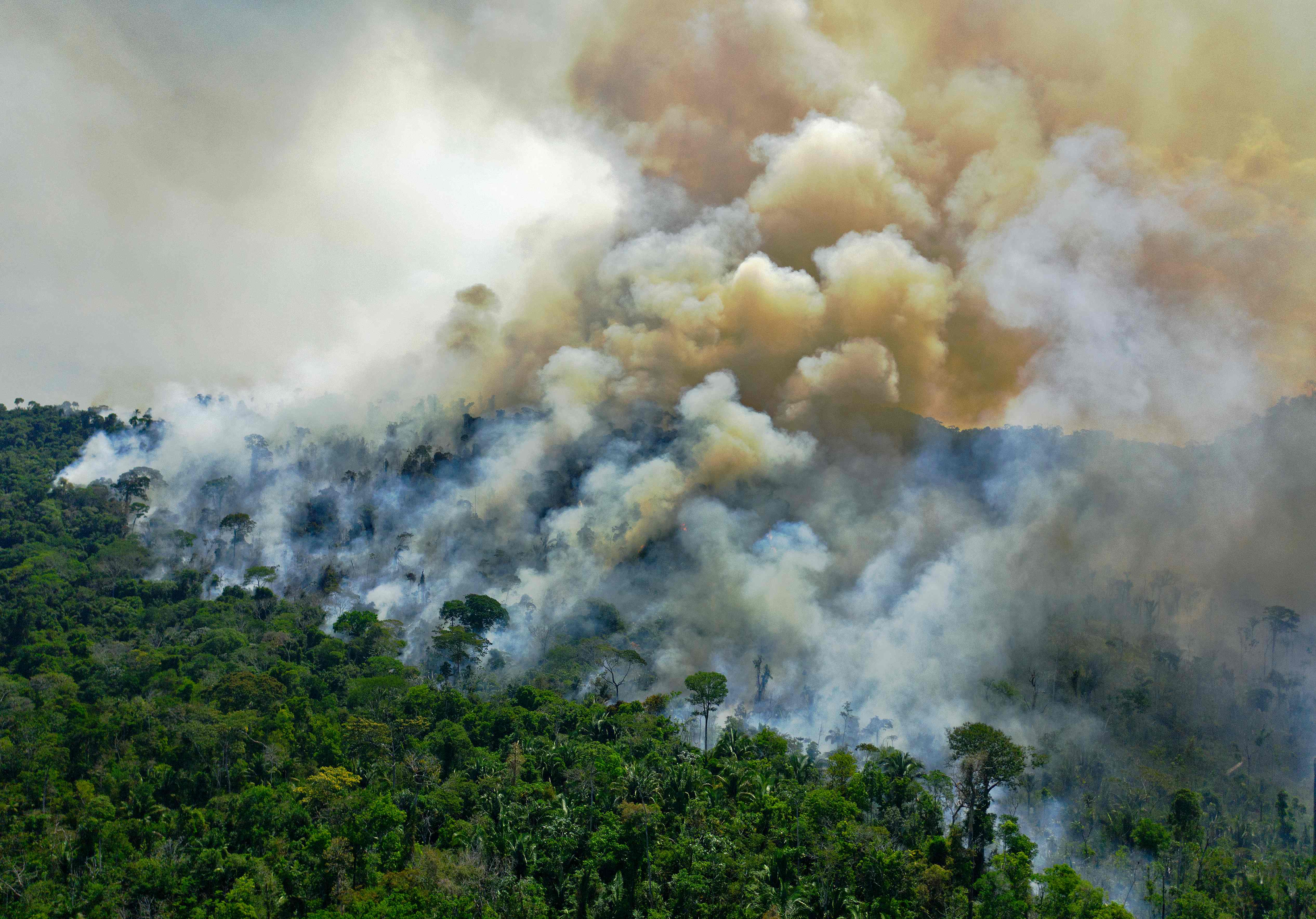 Brazil S Bolsonaro Deploys Military To Amazon Fails To Curb Fires Deforestation The Washington Post