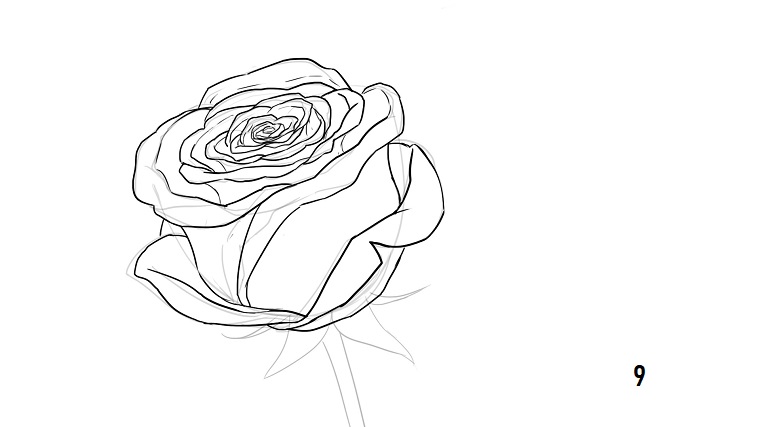 1001 Idee Per Come Disegnare Una Rosa Con Tutorial