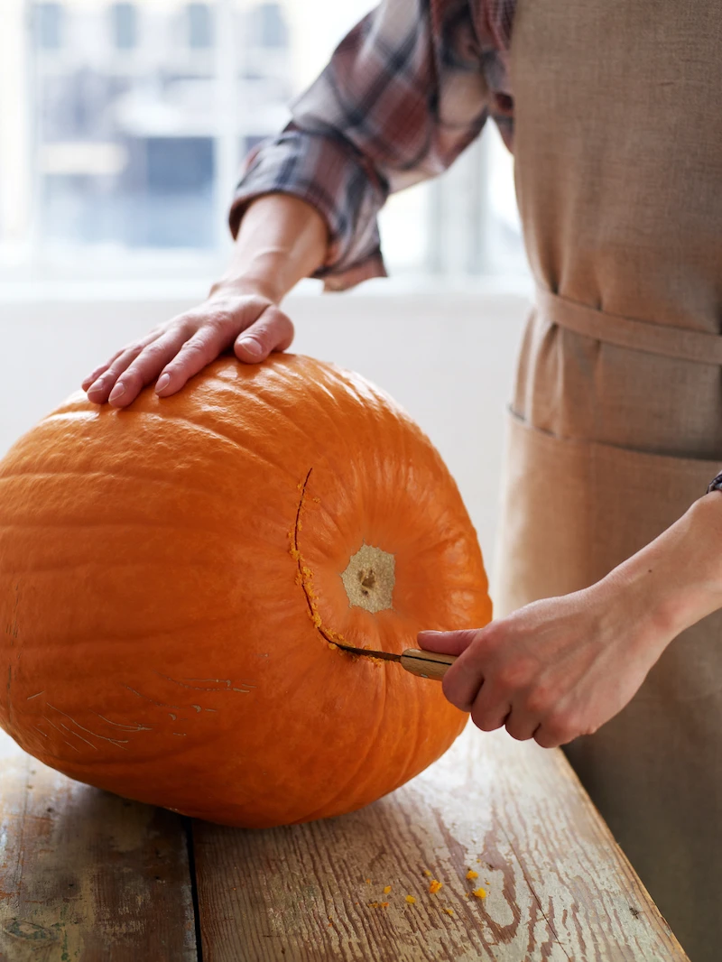 bottom carved pumpkin by person