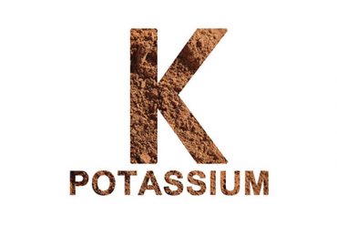 diabetes and potassium